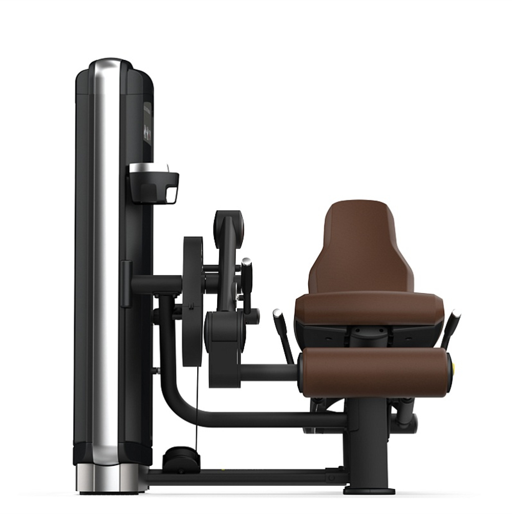 Разгибание ног INTENZA DEZIGN DL-09