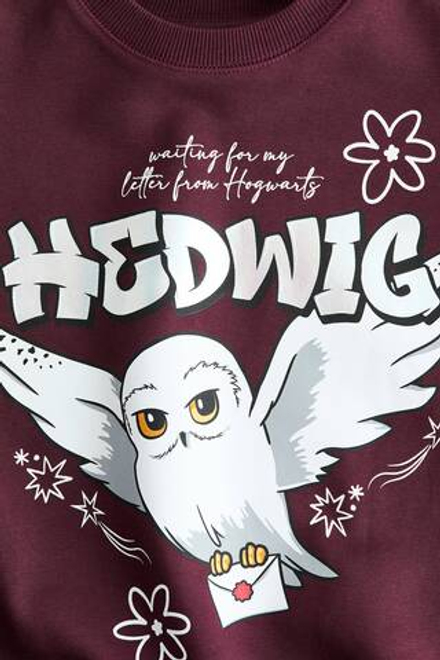 H&M Толстовка оверсайз с принтом, бордовый