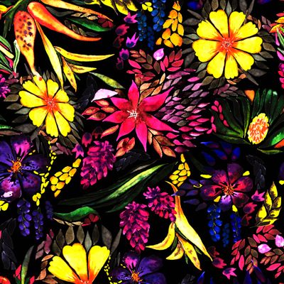 Яркие цветы на черном