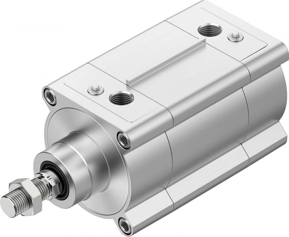 DSBF-C-100-100-PPVA-N3-R Стандартный цилиндр