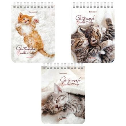 Блокнот А6, 40л, на гребне, клетка, Brauberg Милые котята