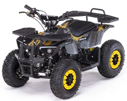 Детский бензиновый квадроцикл MOTAX GRIZLIK MINI PS BW