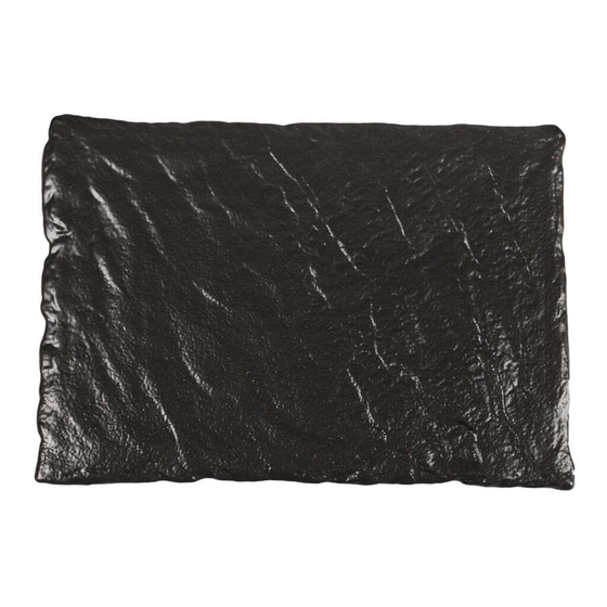 Блюдо прямоугольное 30*21 см h1,2 см   P.L. Proff Cuisine [1]