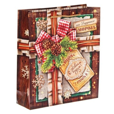 Пакет вертикальный "Открыть 31" MS (Цвет: красный с зеленый)