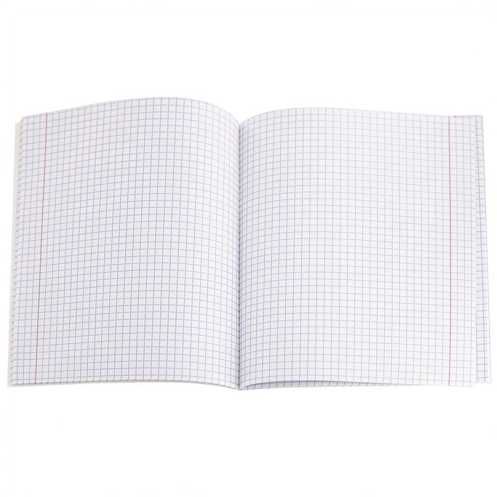 Тетрадь 48л., А5, клетка, Alingar "Пёрышко(NEON)", скрепка, мелованный картон (стандарт), soft touch, блок офсет, 4 дизайна в пленке т/у