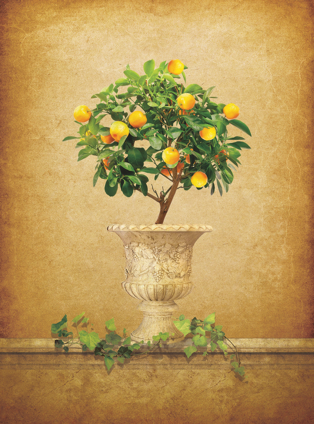 Коллекция Натюрморт