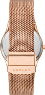 Женские наручные часы Skagen SKW3023