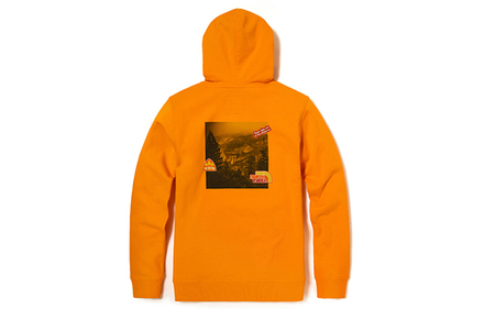Худи THE NORTH FACE Vanlife, NF0A5JW6-PKH