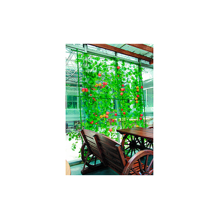 GLSCL-2 GREEN APPLE Комплект для вьющихся растений сборный 0,9*1,8м
