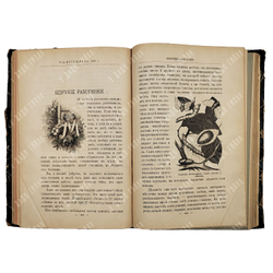 Игрушечка. Журнал для детей младшего возраста / ред.-изд. А. Пешкова-Толиверова. №7–12. 1898