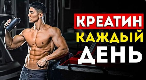 Можно ли принимать креатин каждый день: безопасен ли длительный прием