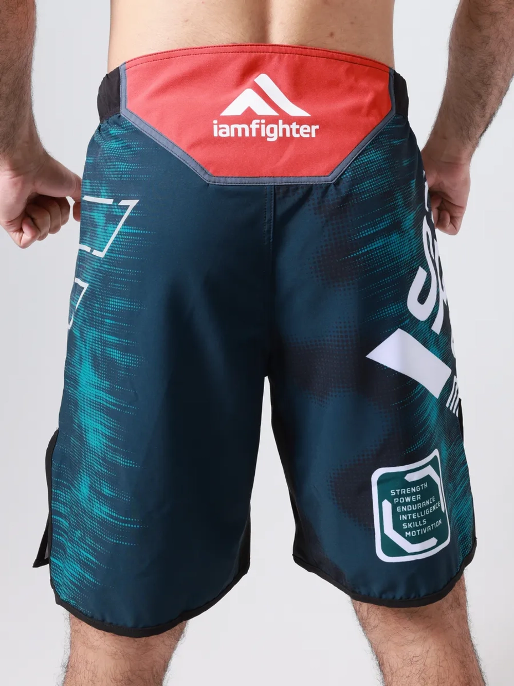 Шорты спортивные мужские для единоборств mma