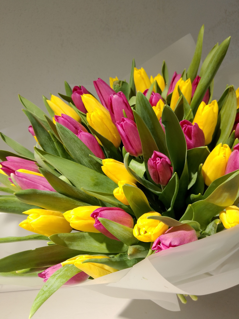Букет из 35 тюльпанов