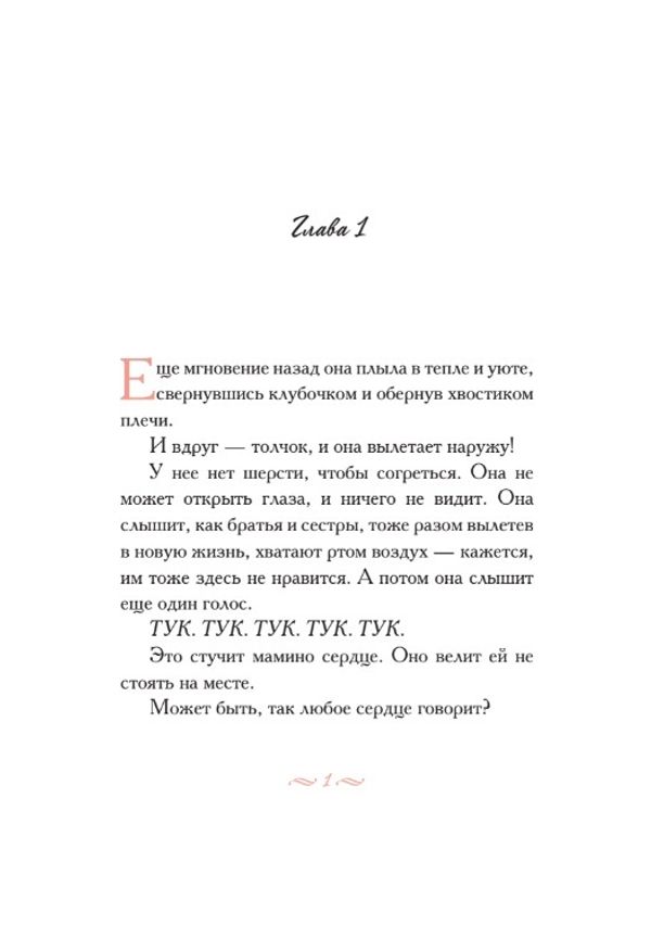 Опоссум по имени Апельсинка