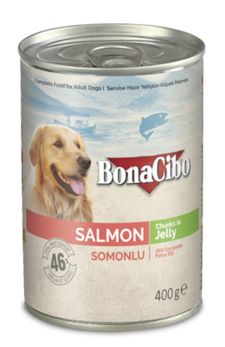 BonaCibo Chunks Salmon