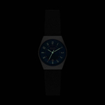 Женские наручные часы Skagen SKW3036