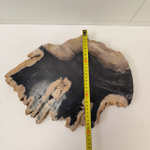 Набор из окаменелого дерева 4 предм Fossil Set NF-63296 поднос 149