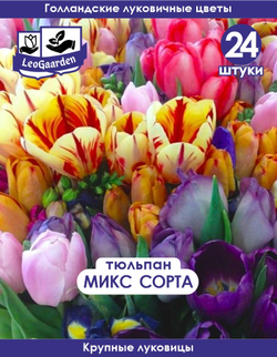 Тюльпан Луковица, Микс сортов 24 шт, разбор крупный
