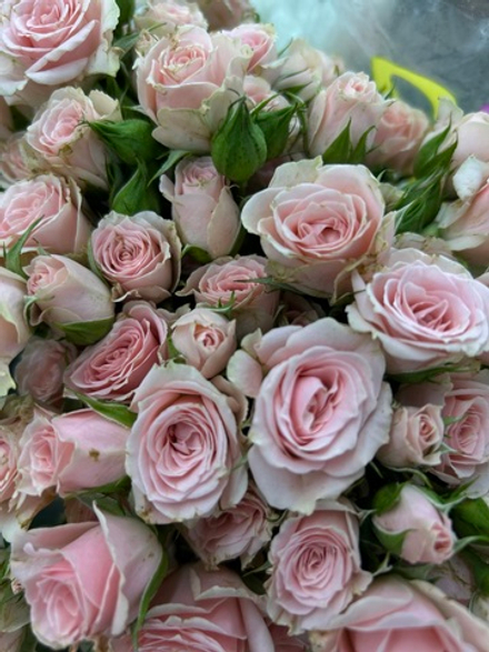 Микс кустовых роз 21 веточка