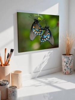 Картина на стену 40 X 50 Бабочки