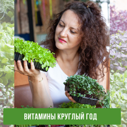 Агровата для выращивания микрозелени набор 10шт / 16,5*10*2 см /субстрат для выращивания микрозелени и растений