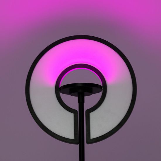 CL810031 LOONG RGB Черный Торшер