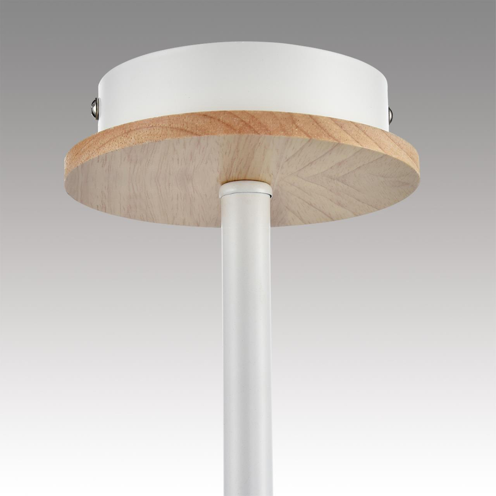 Потолочная люстра Lumion IRMA 8246/5C