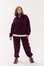 Джоггеры из футера с начесом в винном цвете