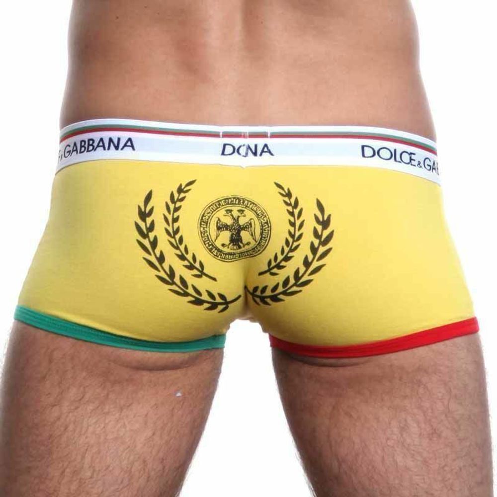 Мужские трусы хипсы желтые Dolce Gabbanna Milano Boxer Yellow