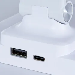 Офисная настольная лампа Arte Lamp WILLIAM