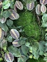 Вертикальное озеленение искусственными растениями и мхом