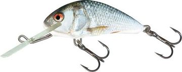 Воблер плавающий Salmo HORNET F 04/RD