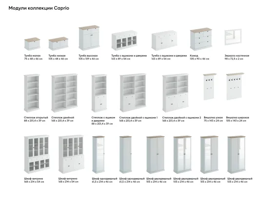 Шкаф двухдверный Caprio 434017