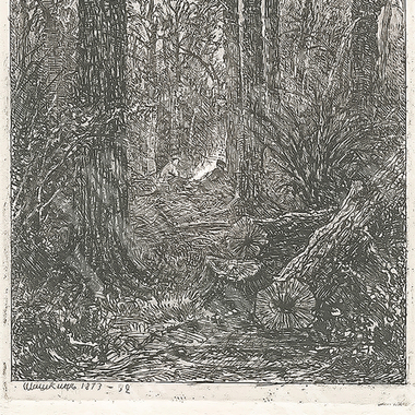 Шишкин Иван Иванович. На порубке. Бумага, офорт. 1873 г.