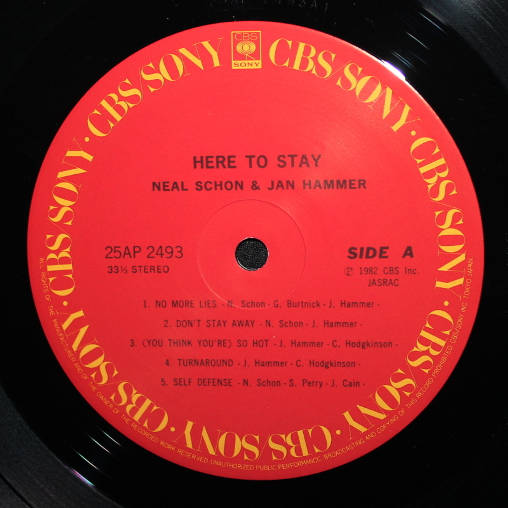 Schon & Hammer / Here To Stay (LP)
