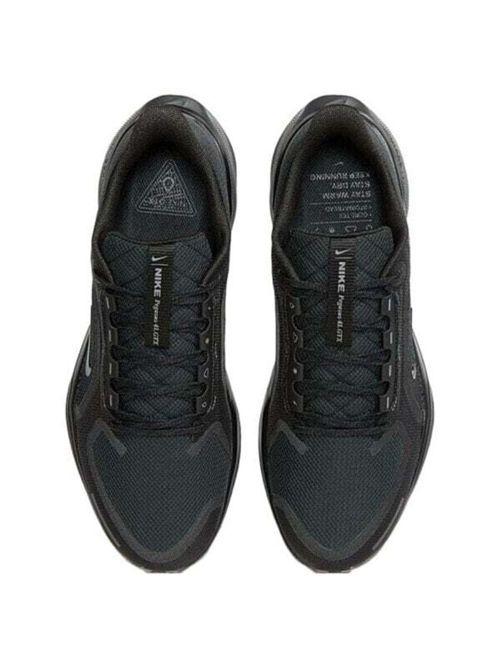 Кроссовки Nike Pegasus 41 Gore Tex 'Black Anthracite'