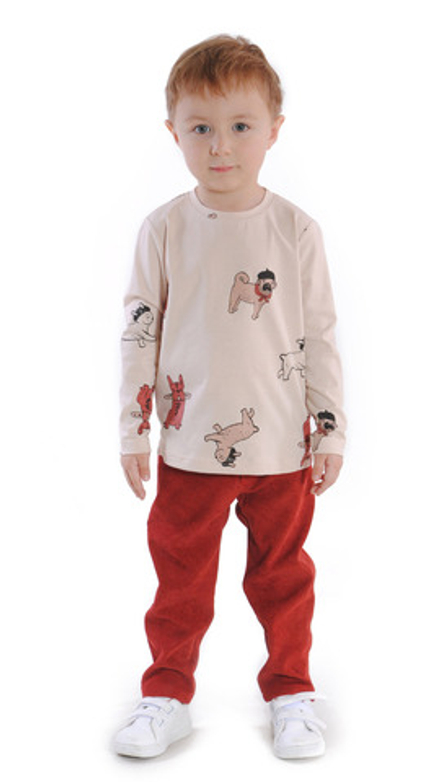 Брюки вельветовые для мальчика 2-8 лет Fleur de Vie