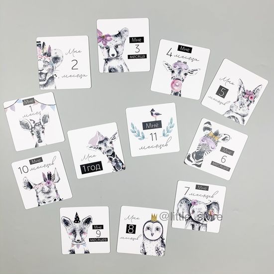 Комплект открыток "Черно-белые звери"