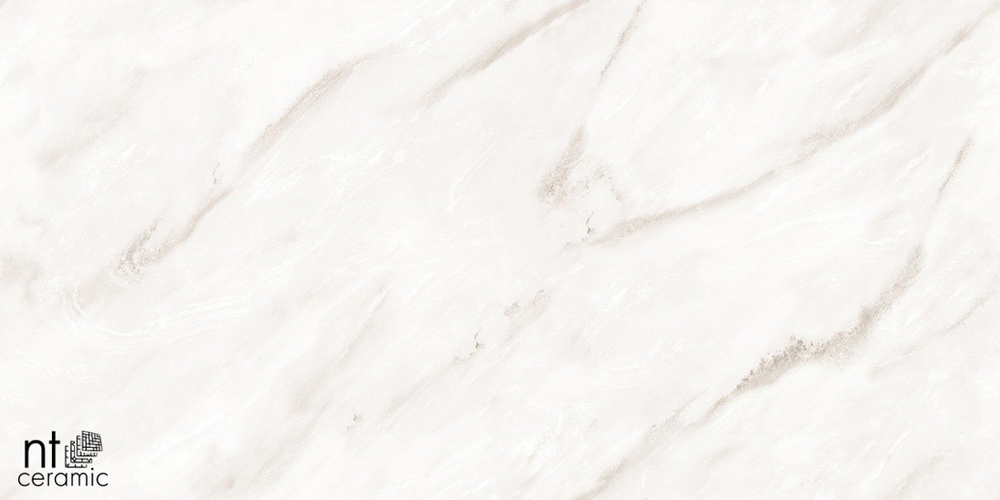 Керамогранит NT ceramic EMPIRE PEARL ENDLESS NTT99525 600*1200мм полированный