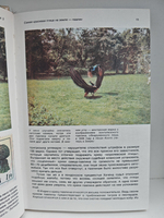 От кобры до медведя гризли