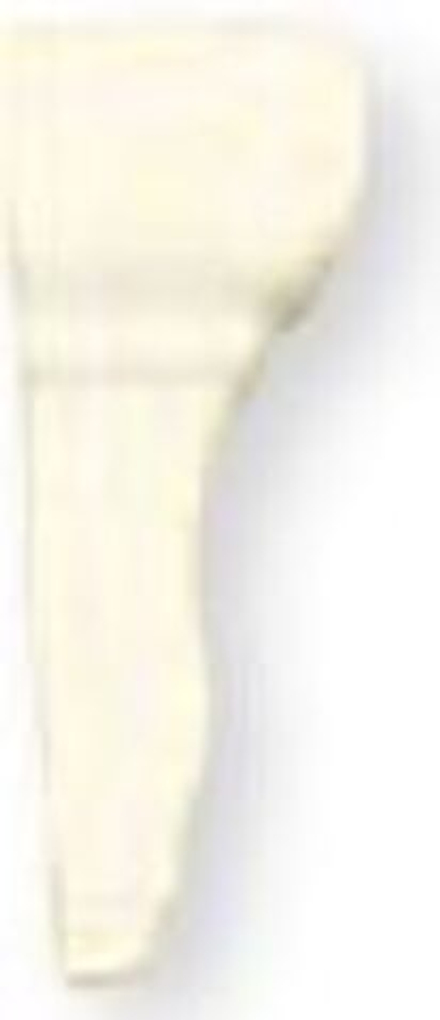 Adex Studio Angulo Exterior Cornisa Bamboo 7.5x19.8