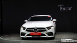 Mercedes-Benz CLS-Class C257 CLS300d AMG Line (03.2020)