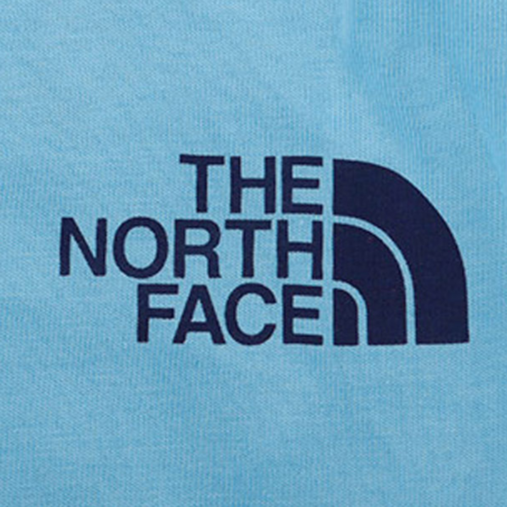 Худи THE NORTH FACE, NF0A4N6Q-L8P