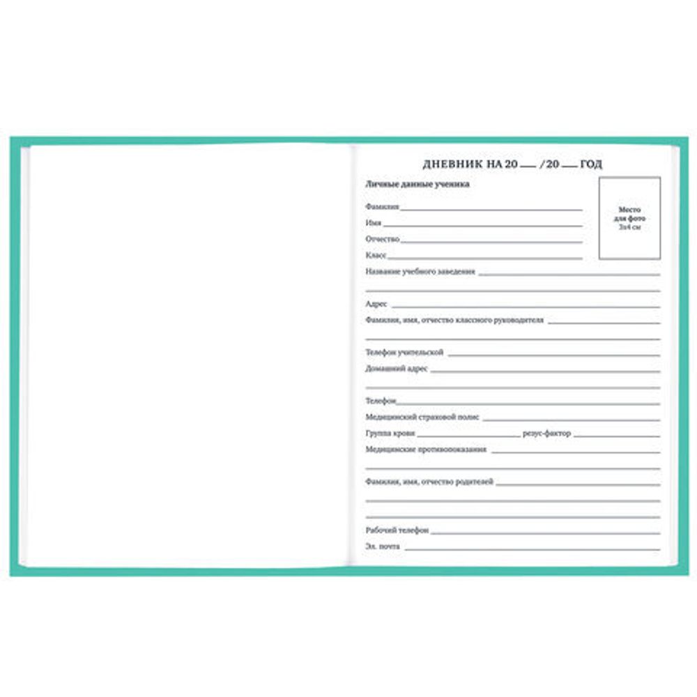 Дневник 1-11 класс 40 л., твердый, BRAUBERG, матовая ламинация, АССОРТИ, 107165