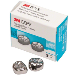 Второй нижний левый моляр, размер 4 (E-LL-4)