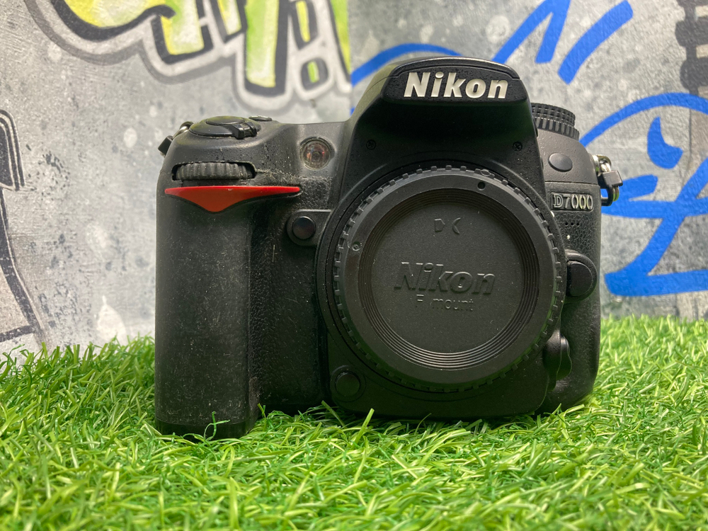 Nikon D7000 с дефектом
