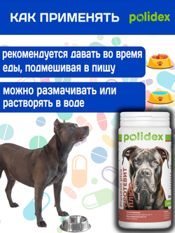 Polidex Protevit Plus для собак, Кормовая добавка для увеличения мышечной массы, Полидек Протевит Плюс, 150 таб