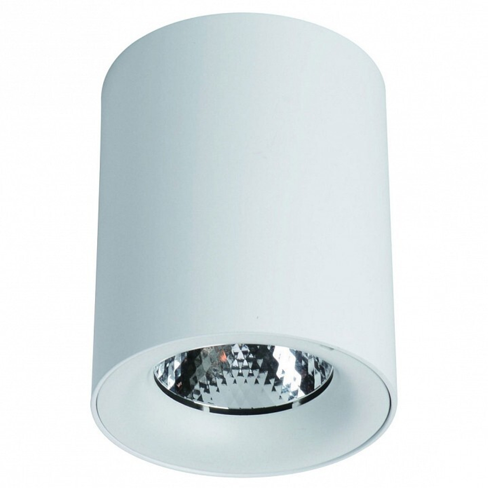 Накладной светильник Arte Lamp A5112PL-1WH