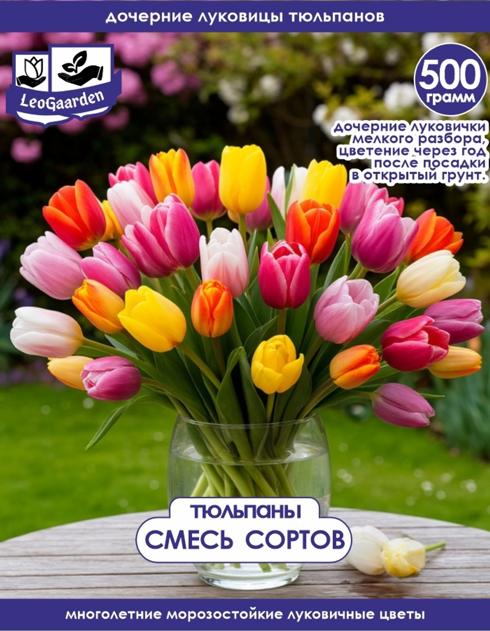 Тюльпан Луковица, дочерние, 500г