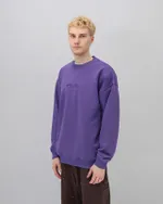 Толстовка Anteater Crewneck Streetwear Violet